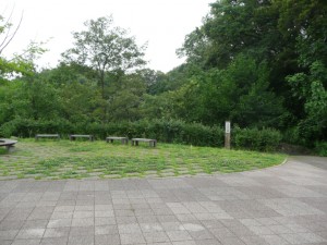 小山内裏公園の水辺の広場（２）