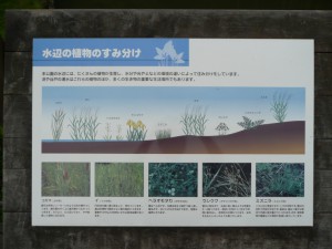 小山内裏公園のパネル１